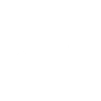 cognitivo